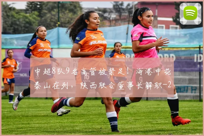 中超8队9名高管被禁足！海港申花泰山在列，陕西联合董事长解职