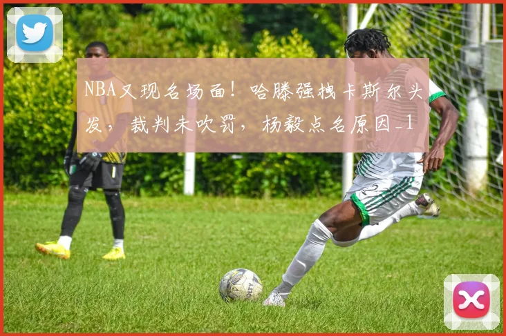 NBA又现名场面！哈滕强拽卡斯尔头发，裁判未吹罚，杨毅点名原因_1