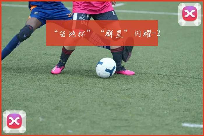 “苗地杯”“群星”闪耀