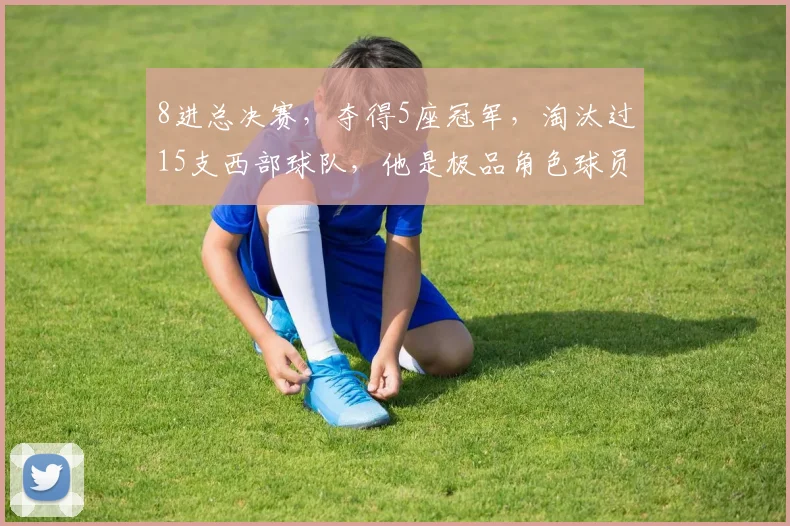 8进总决赛，夺得5座冠军，淘汰过15支西部球队，他是极品角色球员