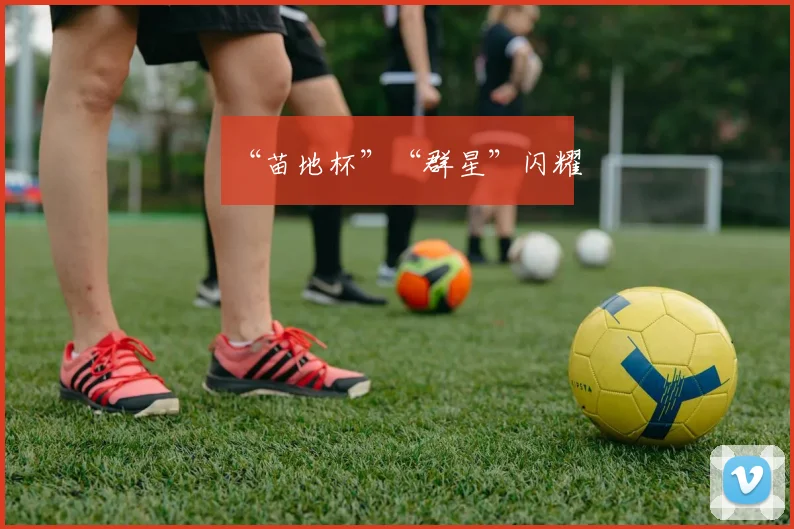 “苗地杯”“群星”闪耀