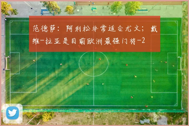 范德萨:阿利松非常适合尤文;戴维-拉亚是目前欧洲最强门将